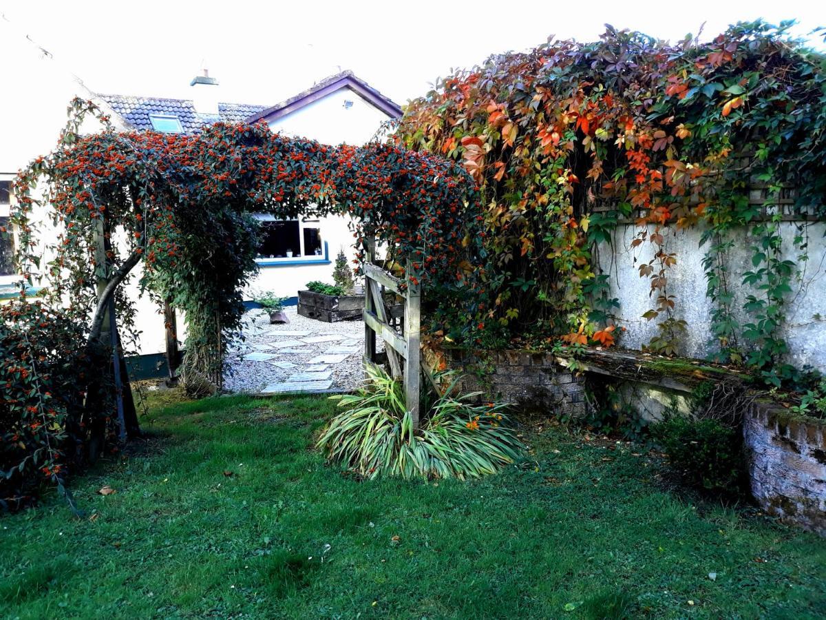 Country Home Tara Rathfeigh Exteriér fotografie